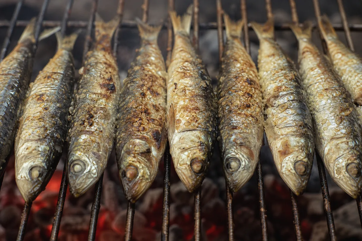 Sardines entières dorées sur la grille d’un barbecue au charbon, braises rougeoyantes visibles dessous